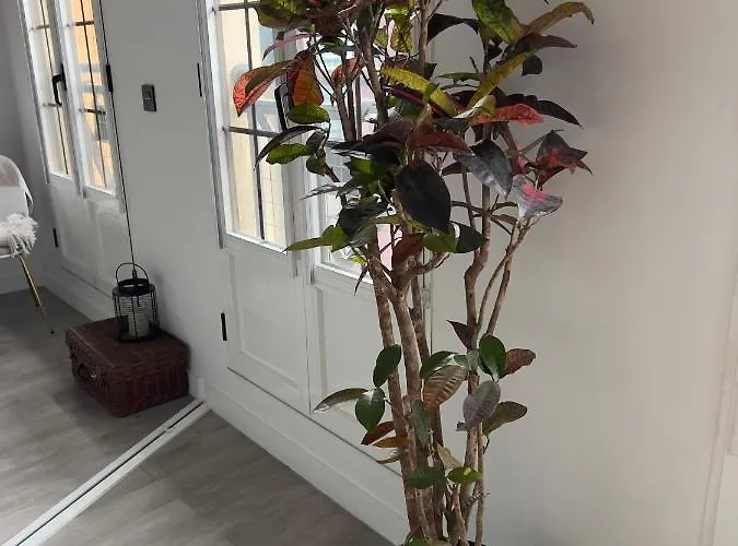 Piso En El Emblematico Barrio Antiguo De